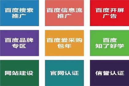 精准投放：SEM推广的技巧与案例